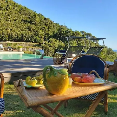 L'olearia Luxury Country In Amalfi Coast Maiori