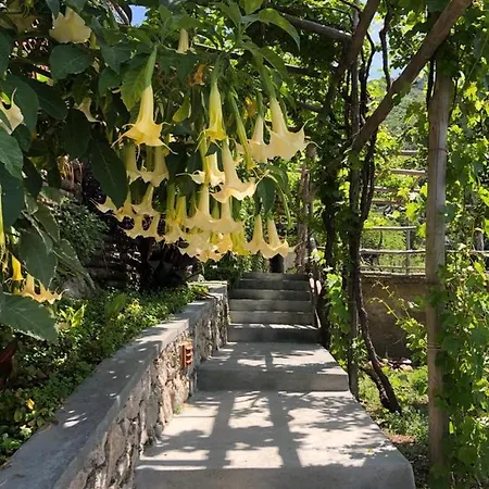 Willa L'olearia Luxury Country In Amalfi Coast