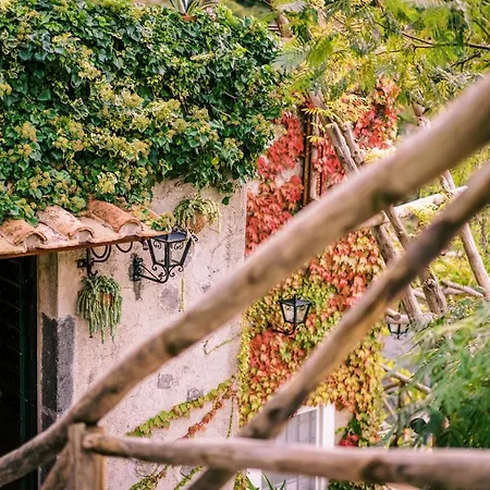 L'olearia Luxury Country In Amalfi Coast Willa Maiori